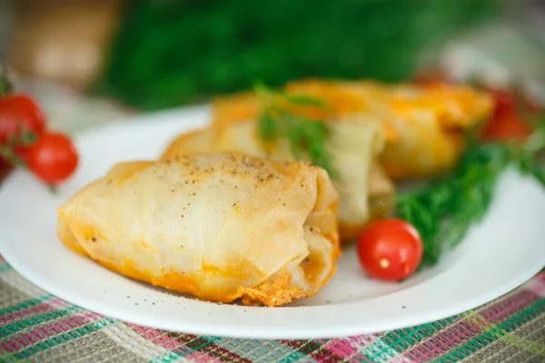 Braised cabbage leaves wrapped rolls — Stock Photo, Image