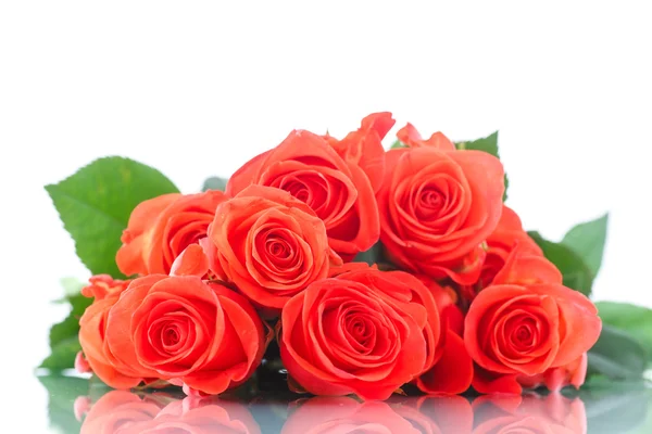Bukett med vackra röda rosor — Stockfoto