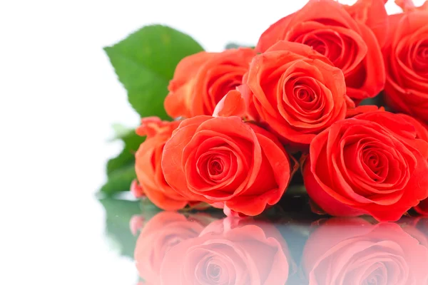 Bouquet di belle rose rosse — Foto Stock