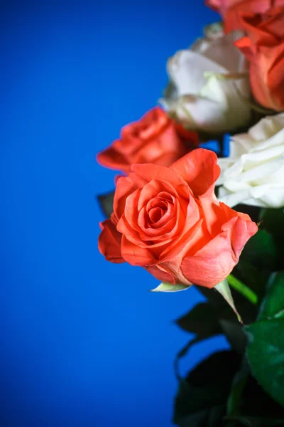 赤くおよび白いばらの花束 — ストック写真