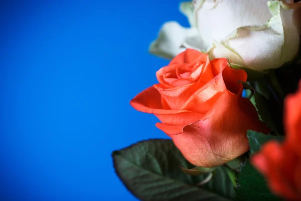 Ramo de rosas rojas y blancas —  Fotos de Stock