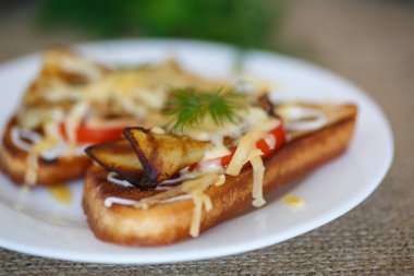 Patlıcan ile sıcak sandviç