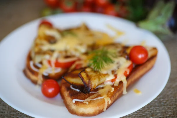 Hot sandwich with eggplant — Stock Photo, Image