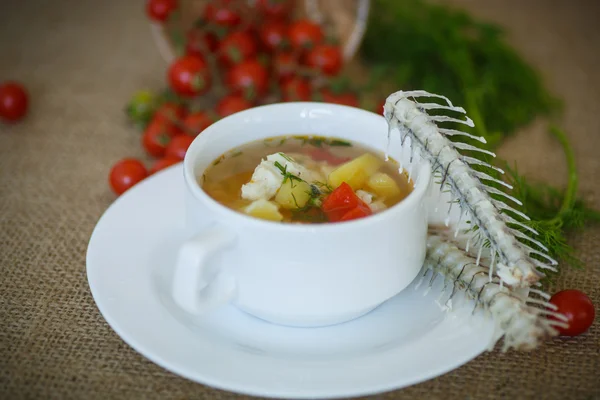 Sopa de pescado — Foto de Stock