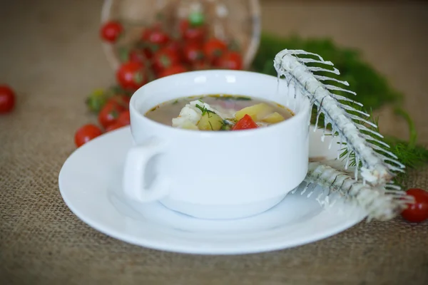 Fish soup — Stock Image Fish soup Stock Photo
