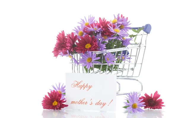 Bouquet of lilac chrysanthemums — Stock Photo, Image