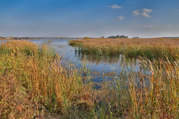 Belo grande lago com juncos — Fotografia de Stock