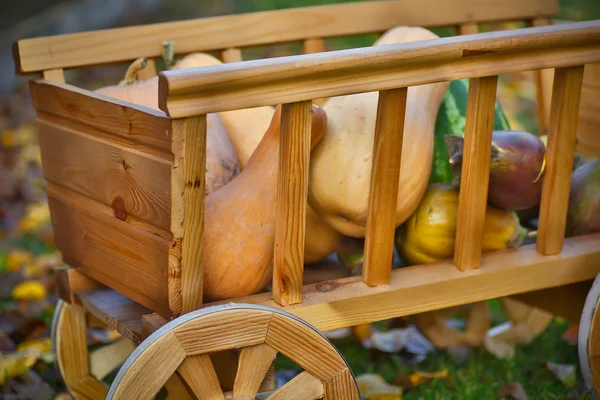 Oogst pompoenen in een houten kar — Stockfoto