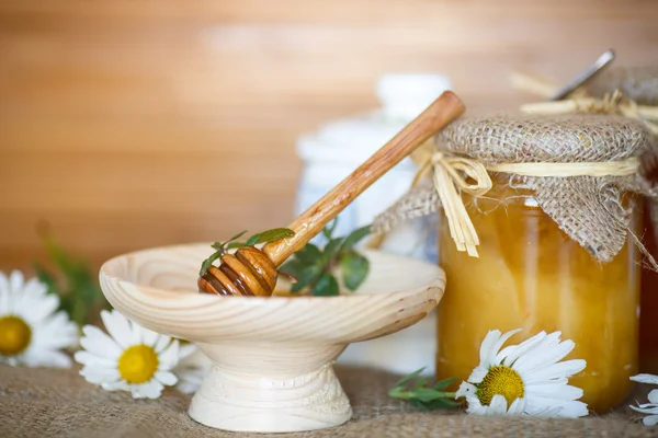 Honey — Stock Photo, Image