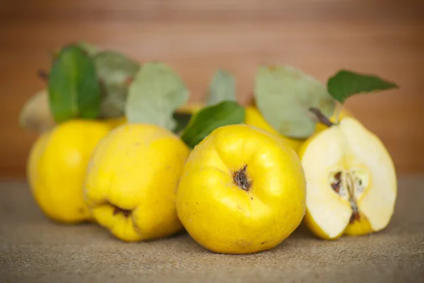 Quince. — Foto de Stock