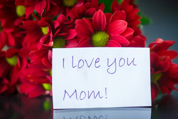 Beautiful bouquet of red chrysanthemums — Stock Photo, Image