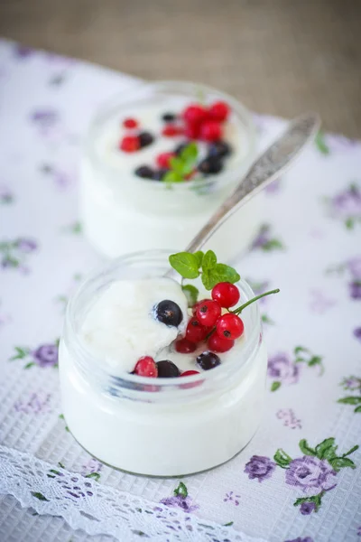 Homemade yogurt — Stock Photo, Image