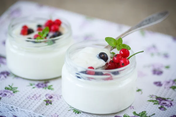 Yogurt buatan sendiri — Stok Foto