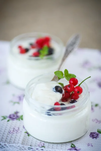 Yogurt buatan sendiri — Stok Foto