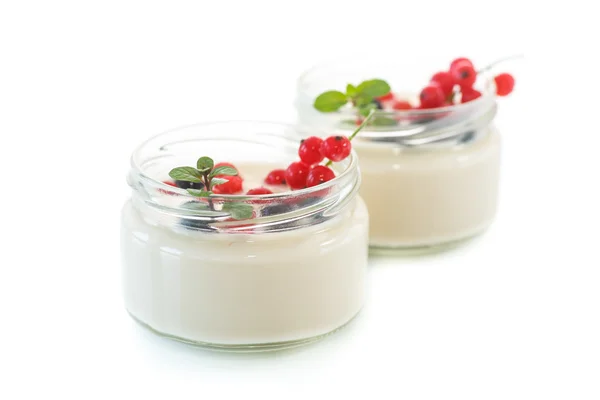 Hemgjord yoghurt — Stockfoto