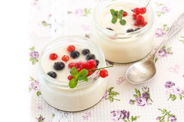 Homemade yogurt — Stock Photo, Image