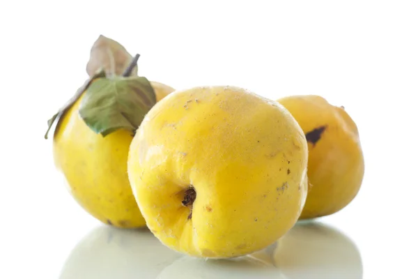 Quince — Stock Photo, Image