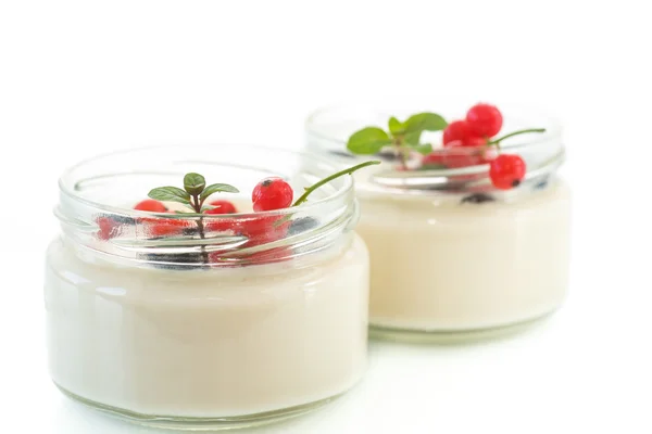 Zelfgemaakte yoghurt — Stockfoto