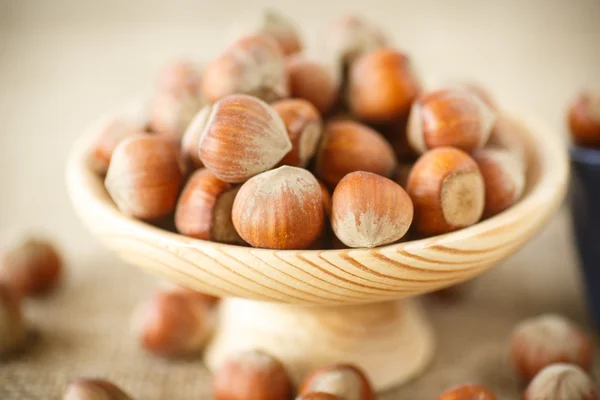 Hazelnut — Stock Photo, Image