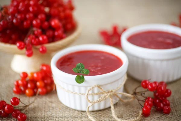 Viburnum marmelade — Stockfoto