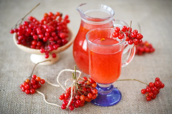 Viburnum compote — Stock Photo, Image