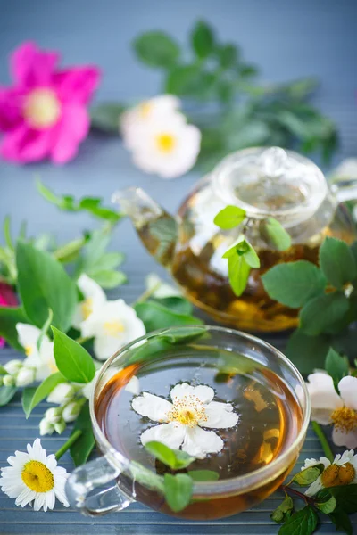 Herbal tea — Stock Photo, Image