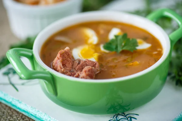 Sopa de col — Foto de Stock