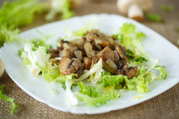 Warm salad with mushrooms — Stock Photo, Image