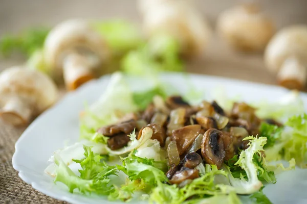 Salada quente com cogumelos — Fotografia de Stock