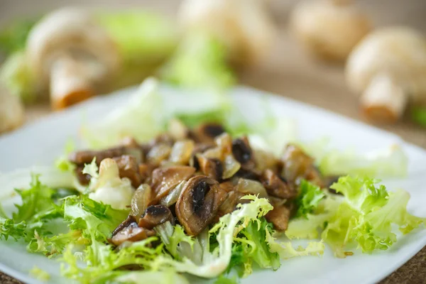 Salada quente com cogumelos — Fotografia de Stock