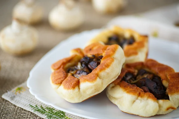 Fried patties with mushrooms — Stock Photo, Image