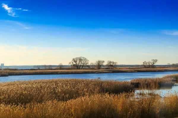 Prachtige rivier Dnepr in Oekraïne — Stockfoto