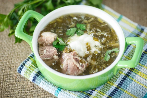 Sorrel soup — Stock Photo, Image