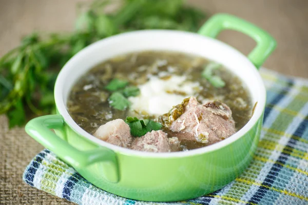 Sorrel soup — Stock Photo, Image