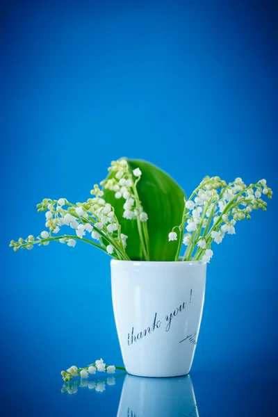 Vackra vita trä liljor — Stockfoto