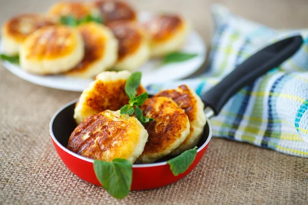 Cheesecakes fritters — Stock Photo, Image