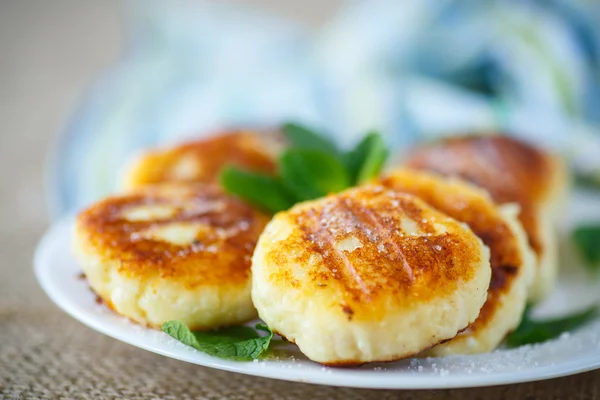 Cheesecakes fritters — Stock Photo, Image