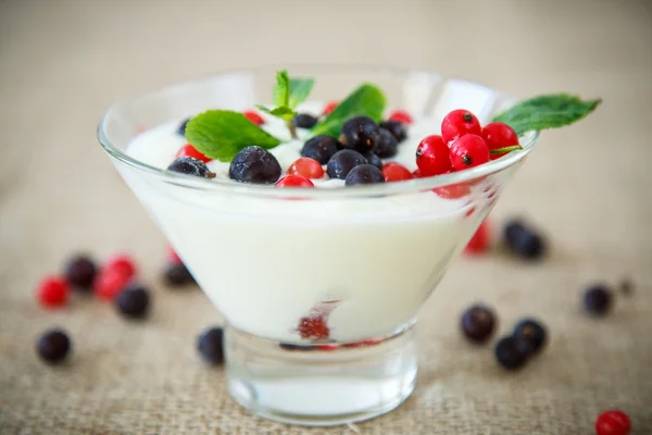 Homemade yogurt — Stock Photo, Image