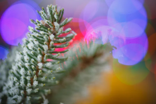 Árbol de Navidad con adornos —  Fotos de Stock
