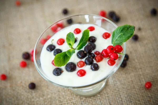 Hemgjord yoghurt — Stockfoto