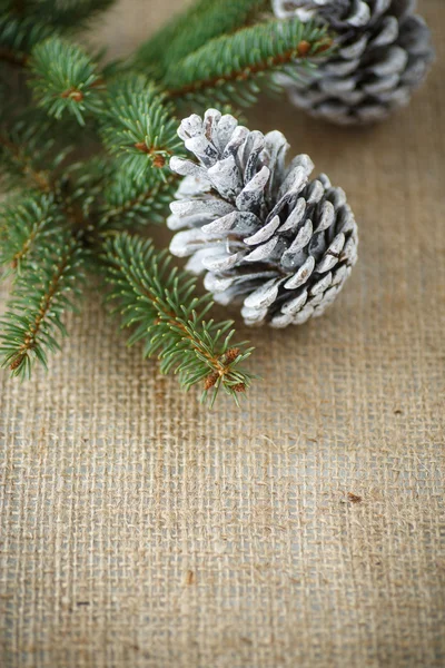 Árbol de Navidad con conos — Foto de Stock