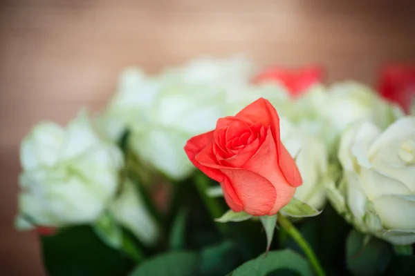 Όμορφο μπουκέτο κόκκινο τριαντάφυλλο — Φωτογραφία Αρχείου