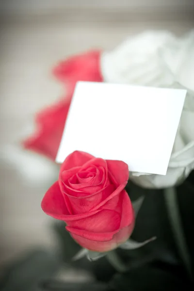 Beautiful bouquet of red rose Royalty Free Stock Images