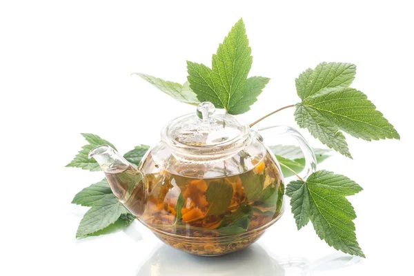 Лечебный чай из листьев смородины — стоковое фото