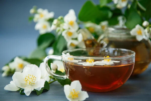 Jázmin tea egy teáskannát, egy ág, jázmin — Stock Fotó