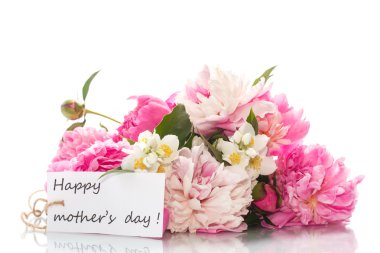 güzel çiçek açan peonies