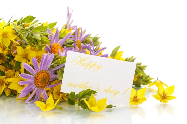 Summer bouquet of daisies and loosestrife — Stock Photo, Image