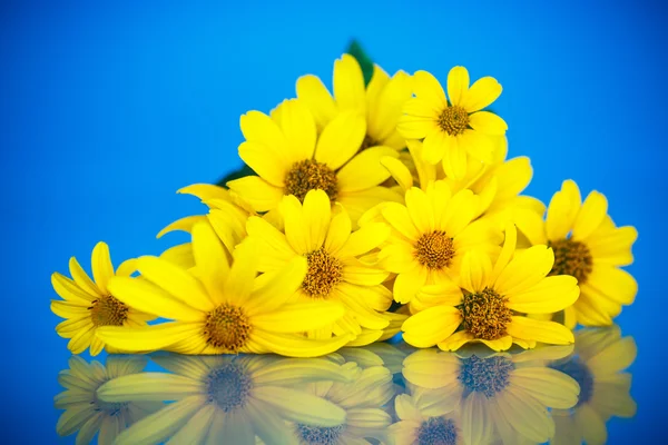 Strauß gelber Gänseblümchen — Stockfoto