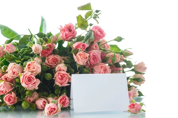 Roze rozen — Stockfoto