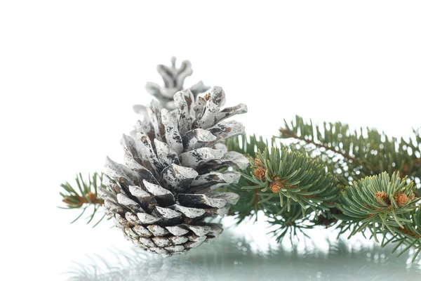 クリスマスのモミの枝で fir コーン — ストック写真